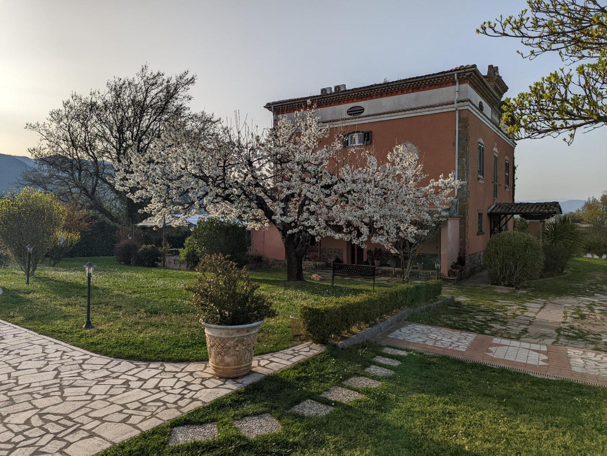 Готель Dimora Marella Patrica - Frosinone Екстер'єр фото